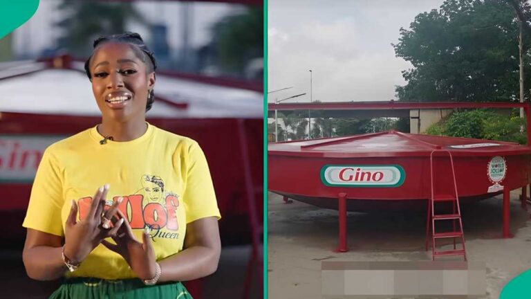 Hilda Baci Sets Lagos Abuzz as She Attempts Guinness World Record for Biggest Pot of Jollof Rice