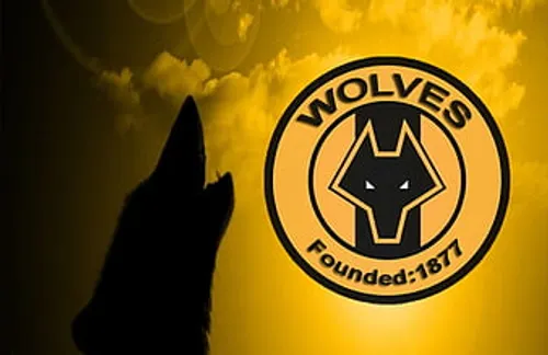 Wolves admit transfer missteps as fans protest ahead of Premier League clash